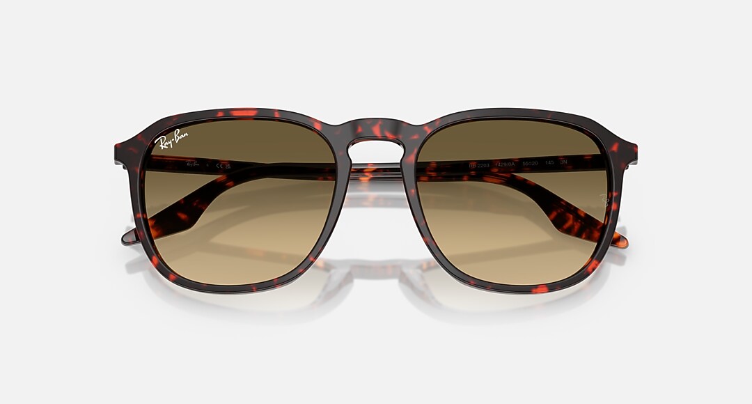 Lunettes Solaire Ray-Ban RB2203 — 14290A
