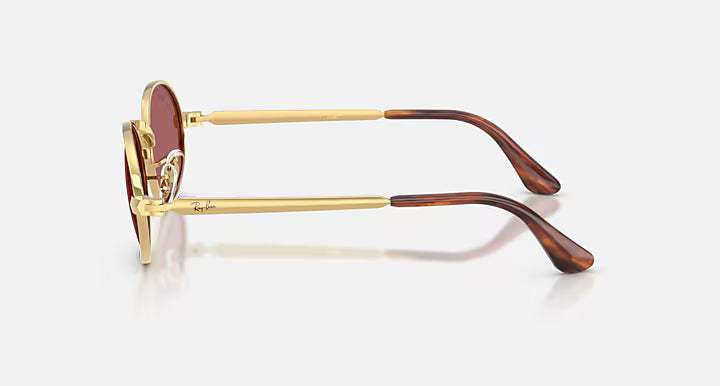 Lunettes Solaire RAYBAN BY A$AP ROCKY POLARIZED RB3931 — 001/AF
