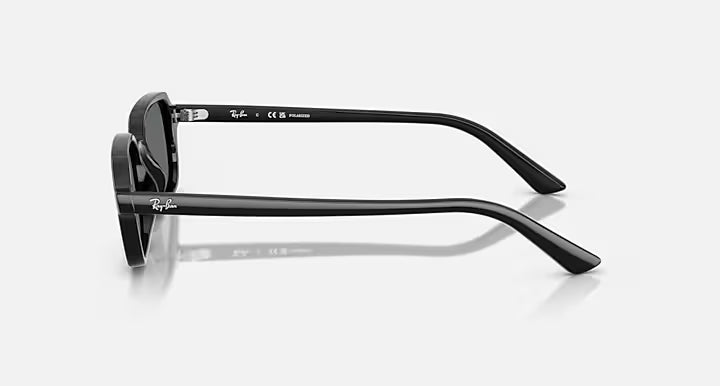 Lunettes Solaire Ray-Ban RB4455 — 667781
