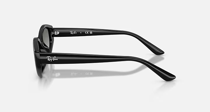 Lunettes Solaire Ray-Ban RB4473D — 667711