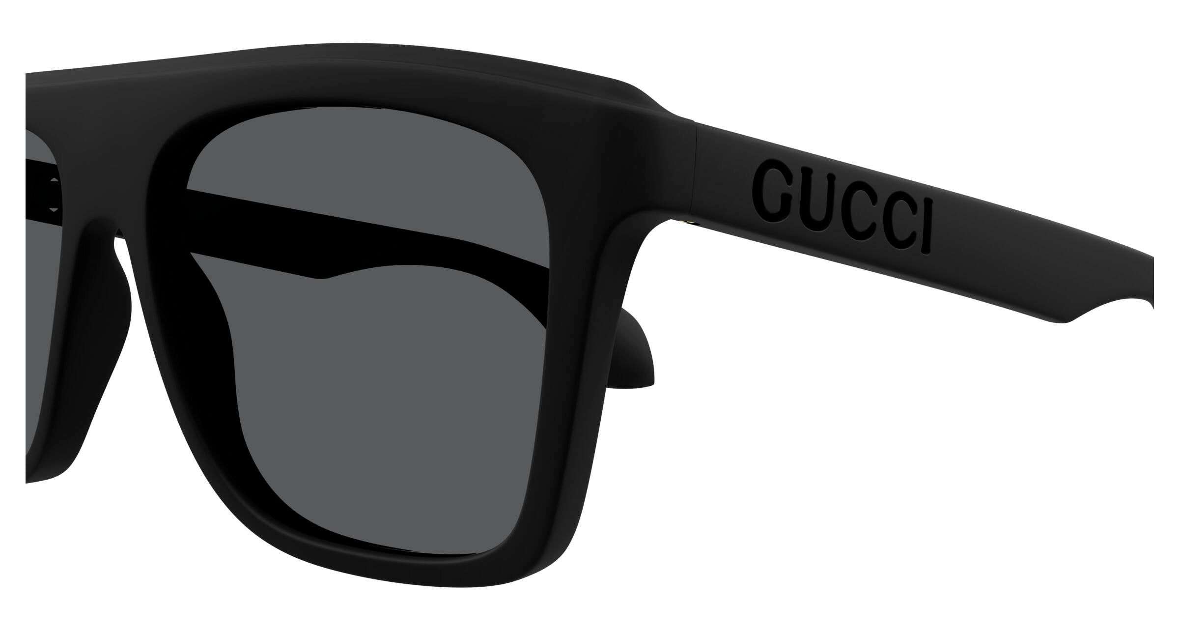 GG1570S-006 POLARIZED