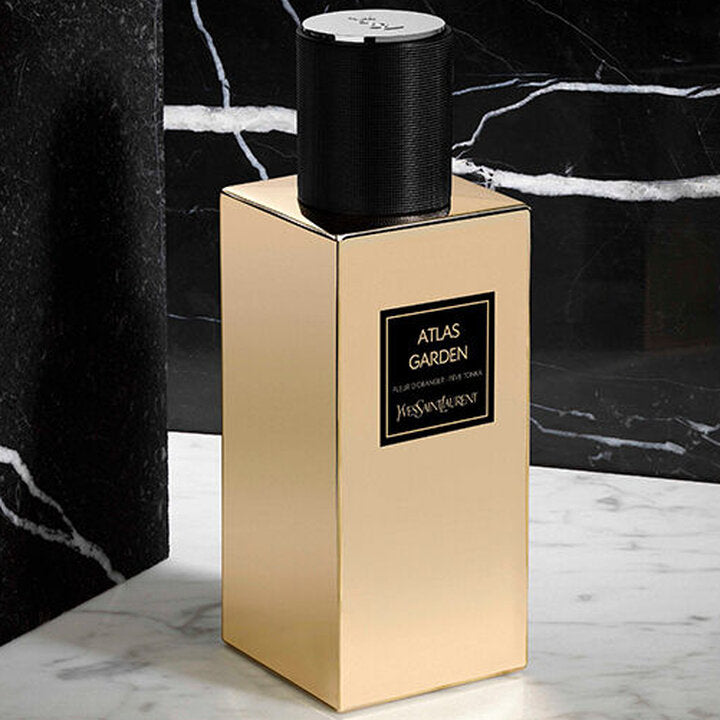 ATLAS GARDEN YSL