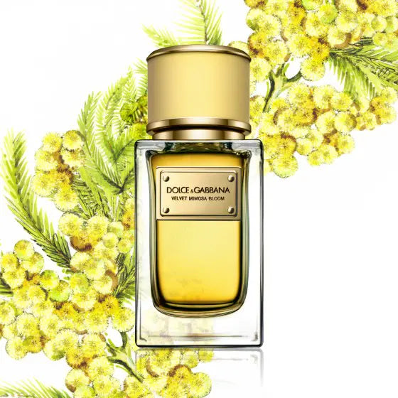 Velvet Mimosa Bloom Dolce&Gabbana 150ML