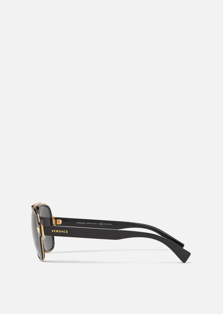 VE2199 100281 56 polarized