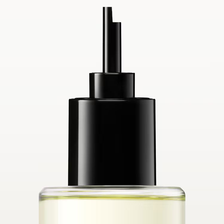 CARTIER Déclaration EDT