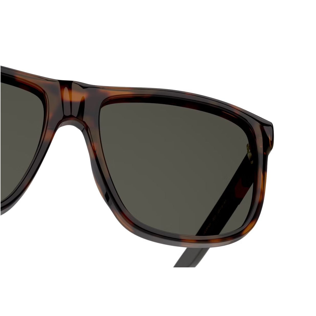 GG0010S POLARIZED