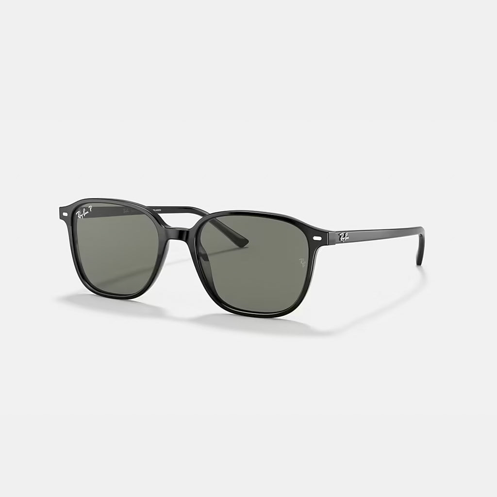 LEONARD Polarized