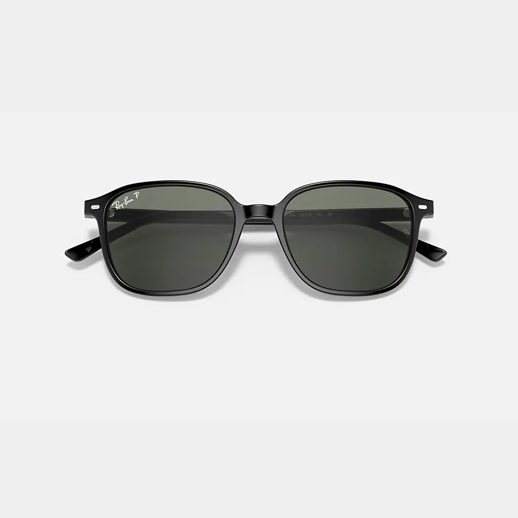 LEONARD Polarized