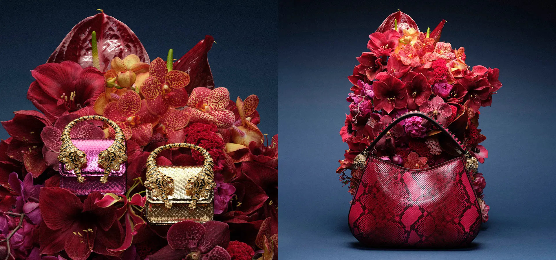 Nouvelles marques de prestige chez Maison Prado : Roberto Cavalli