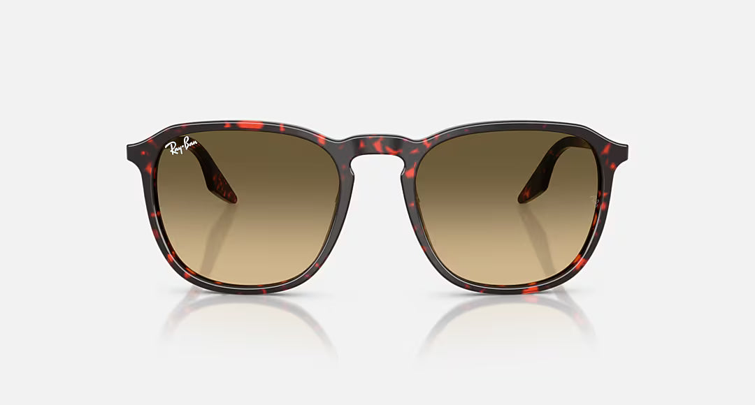 Lunettes Solaire Ray-Ban RB2203 — 14290A