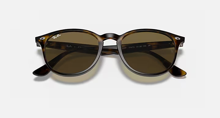 Lunettes Solaire Ray-Ban RB4259 — 710/73