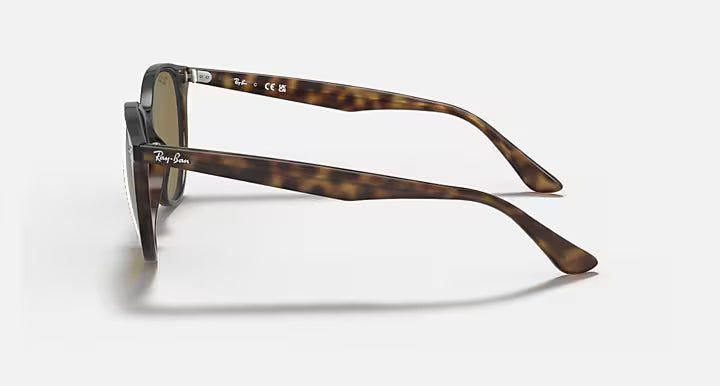 Lunettes Solaire Ray-Ban RB4305 — 710/73