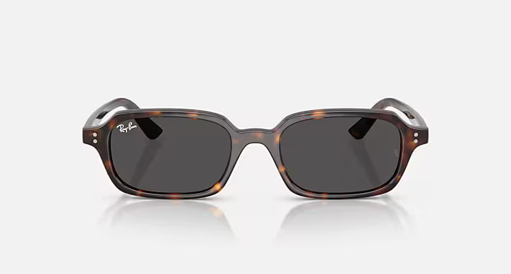 Lunettes Solaire Ray-Ban RB4455 — 135987