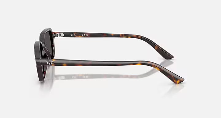 Lunettes Solaire Ray-Ban RB4455 — 135987