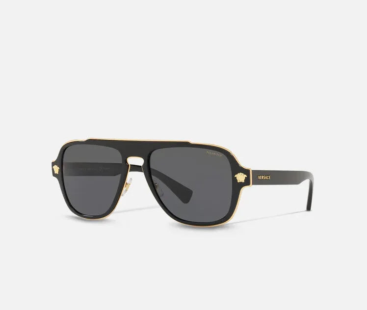 VE2199 100281 56 polarized 