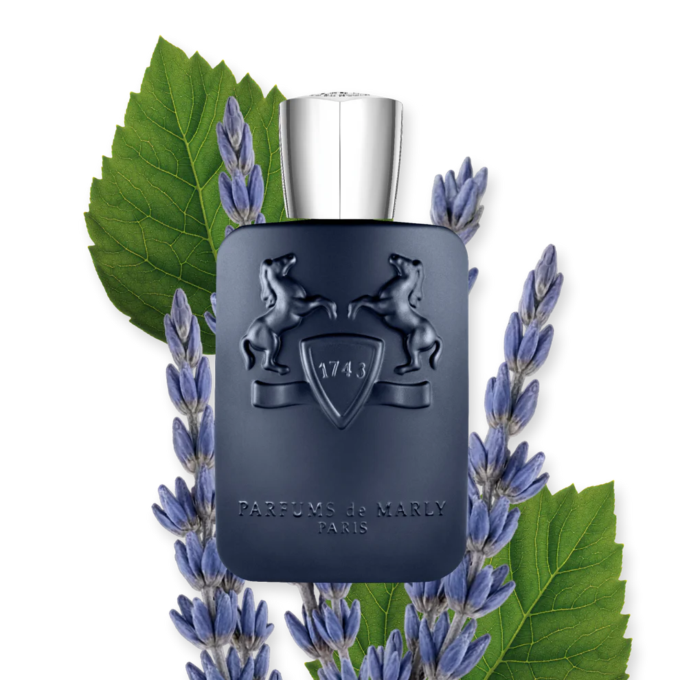 LAYTON PARFUM