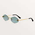 Lunettes Solaire Panthère de Cartier CT0433S-003