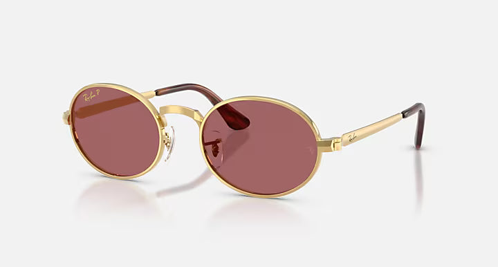 Lunettes Solaire RAYBAN BY A$AP ROCKY POLARIZED RB3931 — 001/AF MAISON PRADO