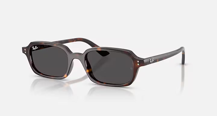 Lunettes Solaire Ray-Ban RB4455 — 135987