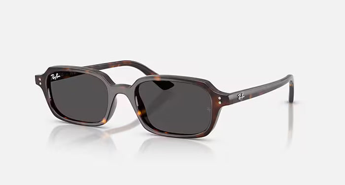 Lunettes Solaire Ray-Ban RB4455 — 135987