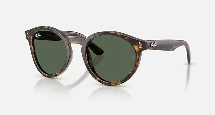 Lunettes Solaire Ray-Ban REVERSE RBR0505S — 6790VR