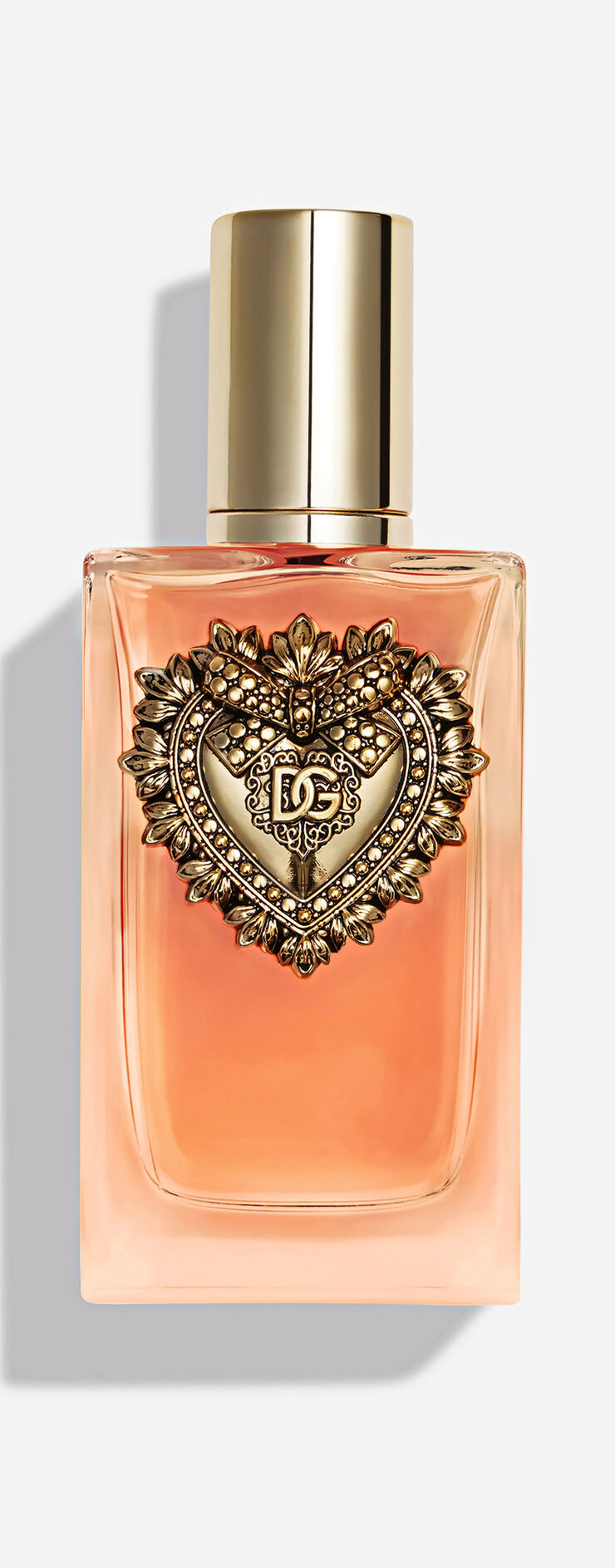 Devotion Eau de Parfum Intense Dolce Gabbana luxe Algérie Maison Prado