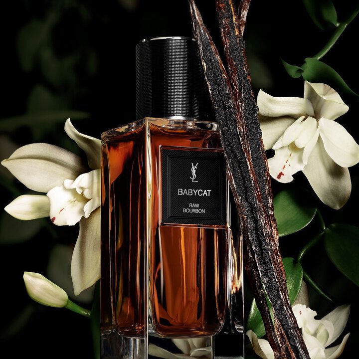 Babycat Eau de Parfum Saint Laurent luxe Algérie Maison Prado