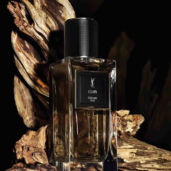 CUIR YSL Saint Laurent luxe Algérie Maison Prado