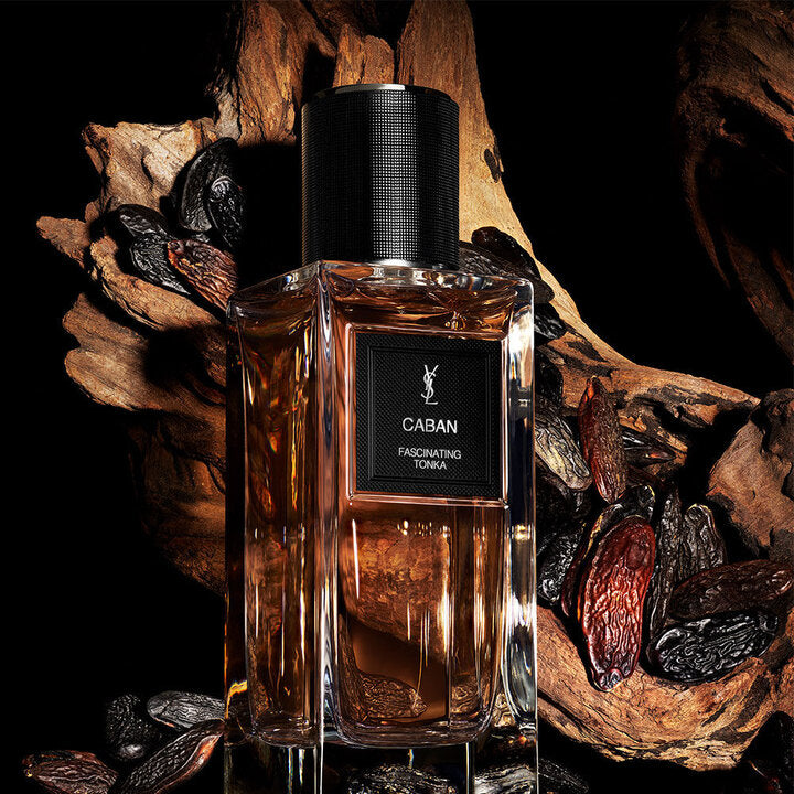 CABAN Saint Laurent luxe Algérie Maison Prado
