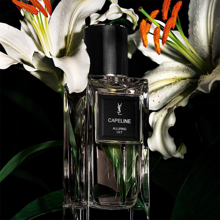 CAPELINE Saint Laurent luxe Algérie Maison Prado