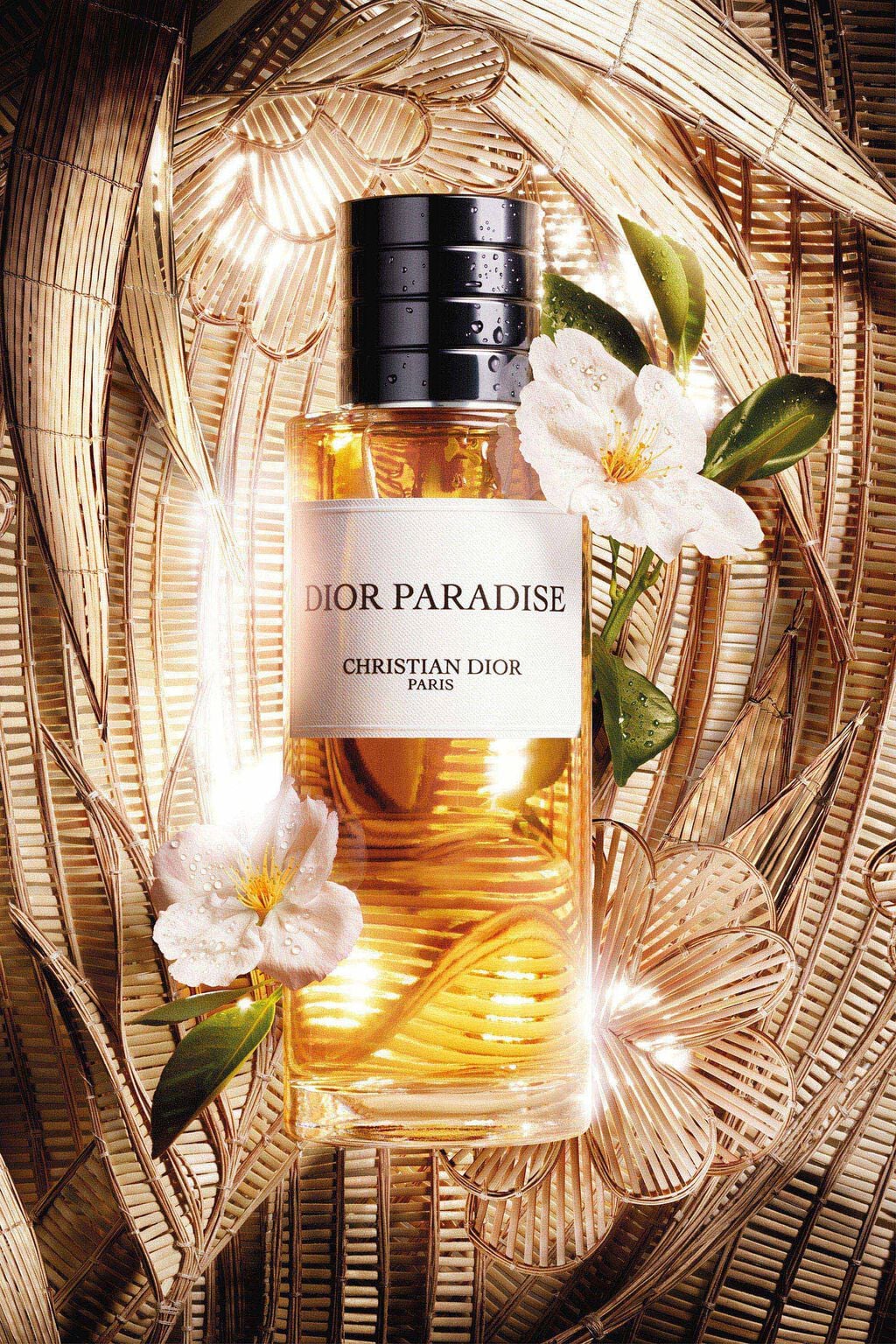 Parfums Dior PARADISE