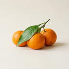 Mandarine