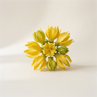 Ylang-ylang
