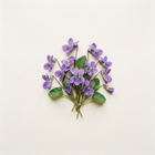 Violette
