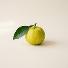 Yuzu