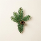 Sapin