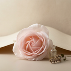 Rose de Mai