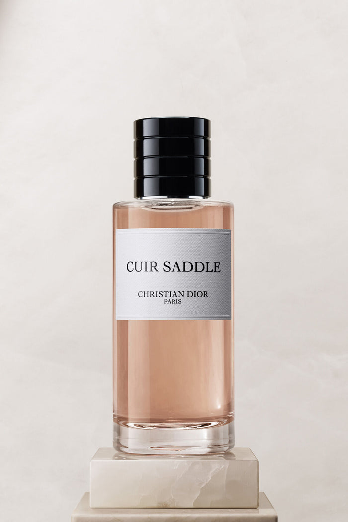 DIOR Cuir Saddle
