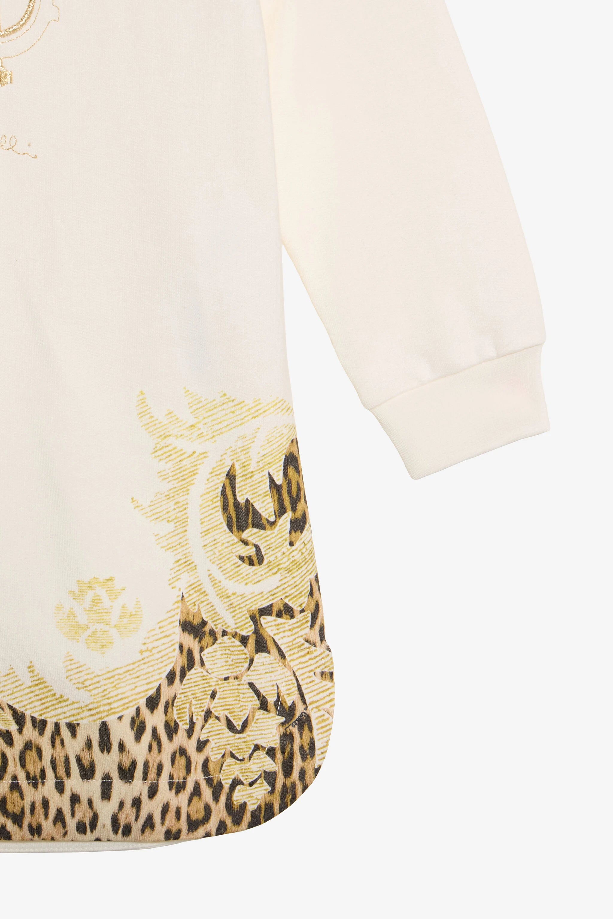 Robe Sweat-shirt à Imprimé Léopard Et Baroque